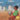 Let's Play Football: With African Animals in Amharic and English