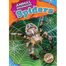Spiders
