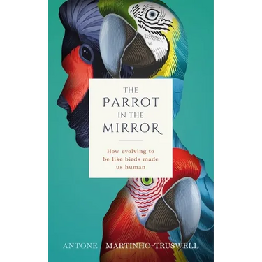 The Parrot in the Mirror: How Evolving to Be Like Birds Makes Us Human