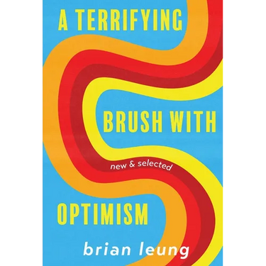 A Terrifying Brush with Optimism: New and Selected Stories