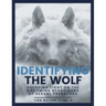 Identifying The Wolf: Shedding Light on the Grooming Behaviours of Sexual Predators