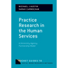 Practice Research in the Human Services: A University-Agency Partnership Model