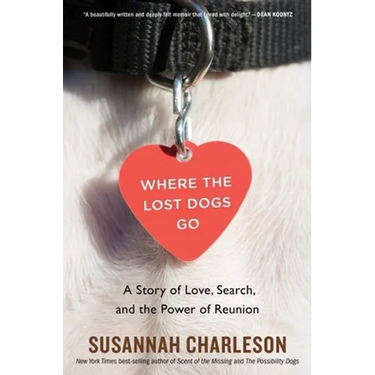Where the Lost Dogs Go: A Story of Love, Search, and the Power of Reunion