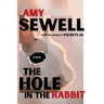 The Hole In The Rabbit