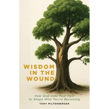 Wisdom in the Wound: How God Uses Your Past to Shape Who You're Becoming