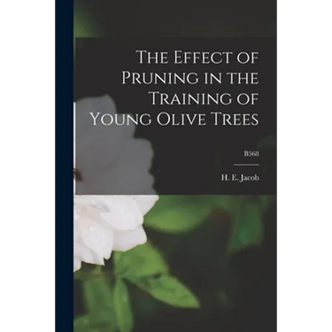 The Effect of Pruning in the Training of Young Olive Trees; B568