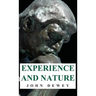 Experience and Nature