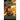 The Phoenix Transformed: Book Three of the Enduring Flame