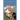 A Dog for Keeps A Lilac Creek Dog Story: Large Print Inspirational Books for Seniors
