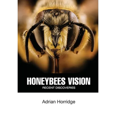 Honeybees Vision: Recent Discoveries