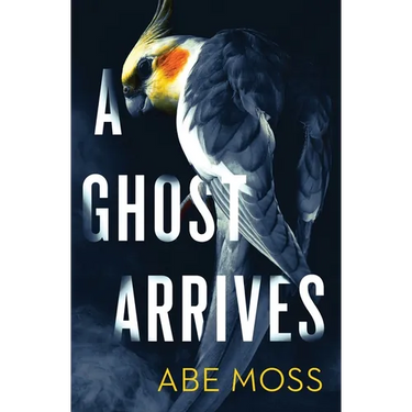 A Ghost Arrives