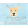 Petey: A Day in the Life
