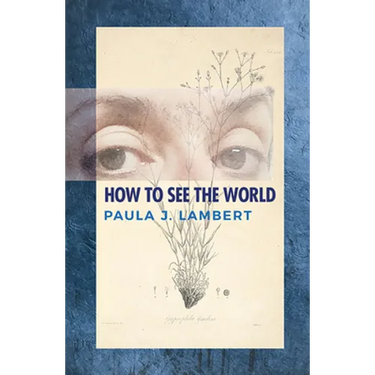 How to See the World: Poems