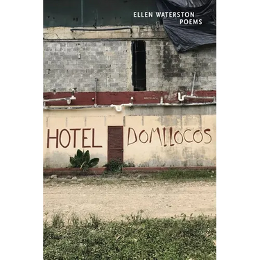 Hotel Domilocos: Poems
