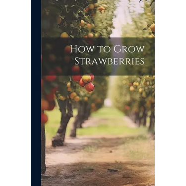 How to Grow Strawberries