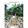 A Narrow Bridge: Awakening From Mental Illness