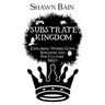 Substrate Kingdom: Exploring Where God's Kingdom and Pop Culture Meet