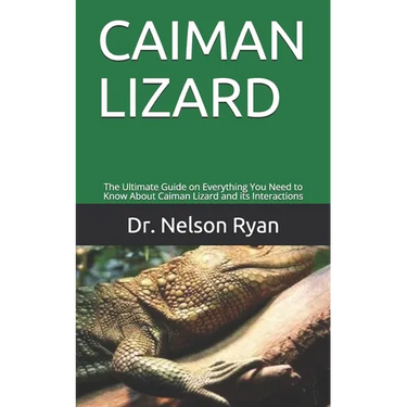 Caiman Lizard: The Ultimate Guide on Everything You Need to Know About Caiman Lizard and its Interactions