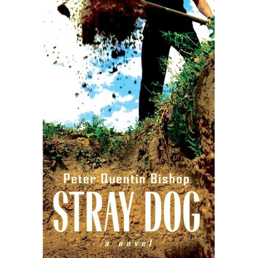 Stray Dog