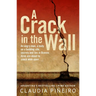 A Crack in the Wall