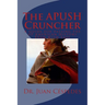 The APUSH Cruncher: A Guide for Passing the AP American History Exam with Ease