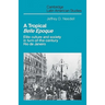 A Tropical Belle Epoque: Elite Culture and Society in Turn-Of-The-Century Rio de Janeiro