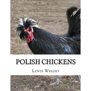 Polish Chickens: From The Book of Poultry