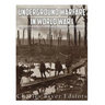Underground Warfare in World War I: The History and Legacy of the Fighting Beneath and Between the Trenches