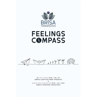 Brisa Therapeutics: Feelings Companion: Feelings Compass