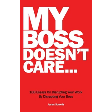 My Boss Doesn't Care: 100 Essays on Disrupting Your Work By Disrupting Your Boss