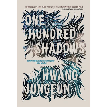 One Hundred Shadows