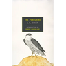 The Peregrine
