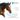 Equine Functional Taping Textbook
