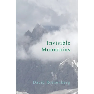 Invisible Mountains