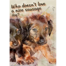 Who doesn't like a nice sausage dog?