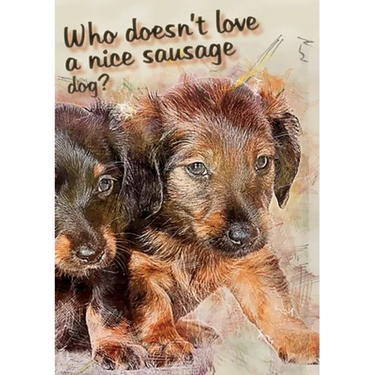 Who doesn't like a nice sausage dog?