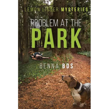 Problem At the Park