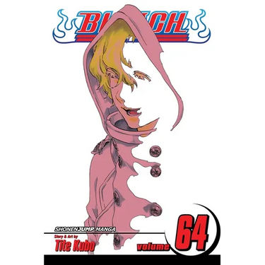 Bleach, Vol. 64: Death in Vision