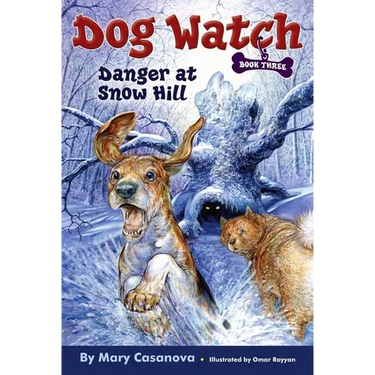 Danger at Snow Hill