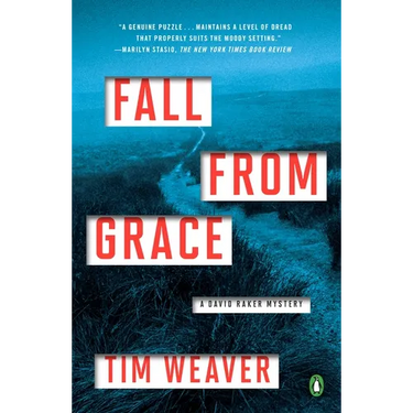 Fall from Grace: A David Raker Mystery
