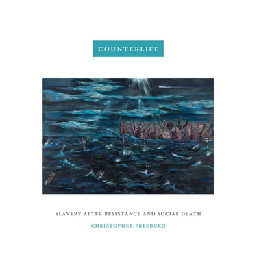 Counterlife: Slavery After Resistance and Social Death