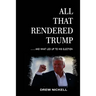 All That Rendered Trump... And What Led Up to His Election