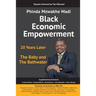 Black Economic Empowerment: 20 Years Later - The Baby and the Bathwater