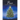Pine: Seasonal Lessons that Sprout in the Forest