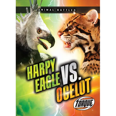 Harpy Eagle vs. Ocelot