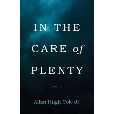 In the Care of Plenty: Poems