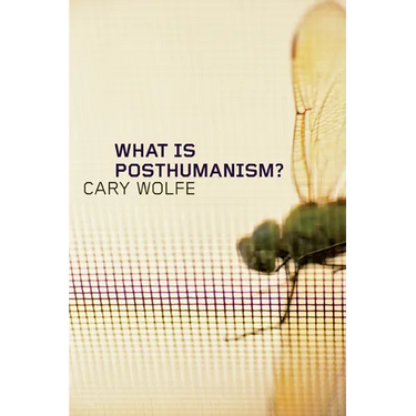 What Is Posthumanism?: Volume 8