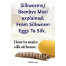 Silkworms Bombyx Mori explained. From Silkworm Eggs To Silk. How to make silk at home.