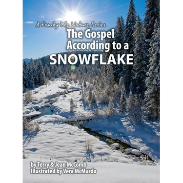 The Gospel According to a Snowflake