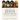 The Story of Jesus Continues: A Survey of the Acts of the Apostles